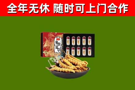 平度回收冬虫夏草价格